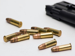 22lr with magazine